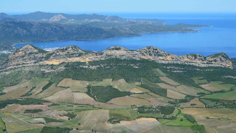 Prekrasan zračni pogled na vinograde i dramatičnu obalu na Korzici.